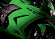 Kawasaki Ninja 250R